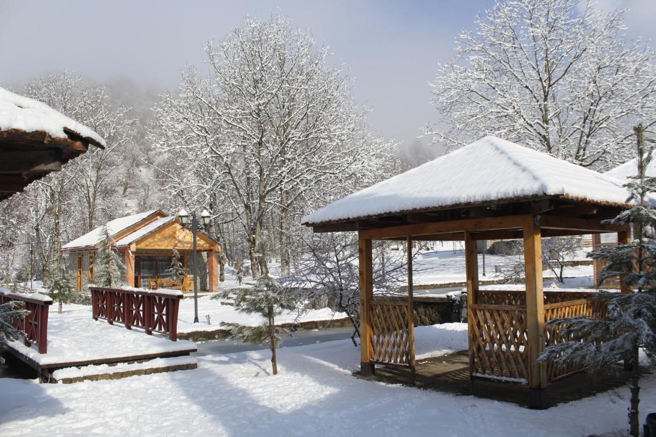 Talistan Forest Park Hotel Exterior foto
